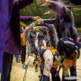 20140329_22-14-47_IMG_2235